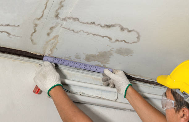 Reliable Burst Pipe Cleanup contractor in Elburn, IL by Water Damage Irwin